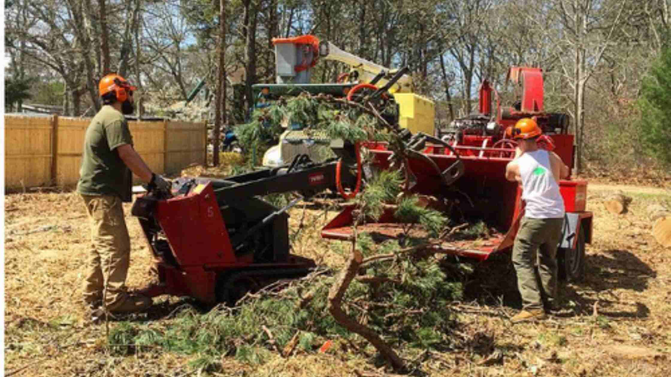 Landscaping Spring Clean Up